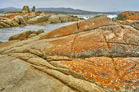 20241004125649_Rocky_Shoreline_at_Bay_of_Fires